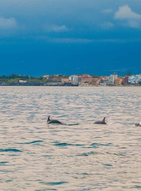 Giardini Naxos Taormina: Dolphin Watching Sunset Tour - Dolphin watching at sunset: what this tour is really for