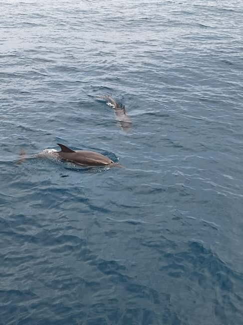 Giardini Naxos Taormina: Dolphin Watching Sunset Tour - Isola Bella stop: aperitif, snacks, and the best kind of waiting