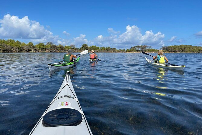 Guided kayak tour inside the Stagnone of Marsala - Why Stagnone’s Lagoon Works So Well by Kayak