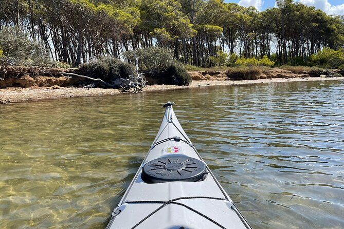 Guided kayak tour inside the Stagnone of Marsala - Private, Small-Group Feel Without the Rigmarole