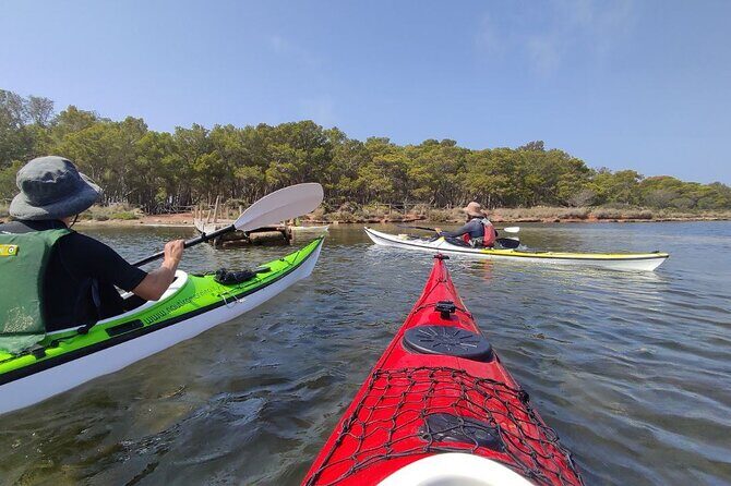 Guided kayak tour inside the Stagnone of Marsala - The 8:30 Meeting Time and the 1-Hour Setup That Matters
