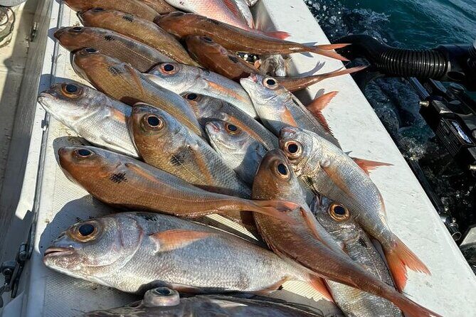 Half-seabed or rod fishing tour with bolentino - Stop 1: Isola di Ortigia by boat (Duomo views and cave time)