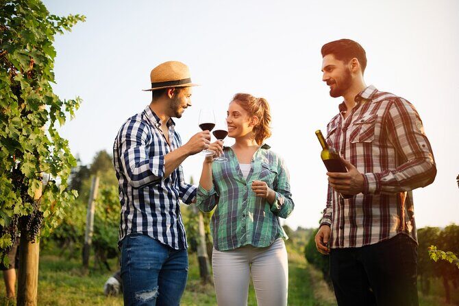Historic winery visit with food and wine tasting in Marsala - What you’ll eat: starter pairing that helps you taste better
