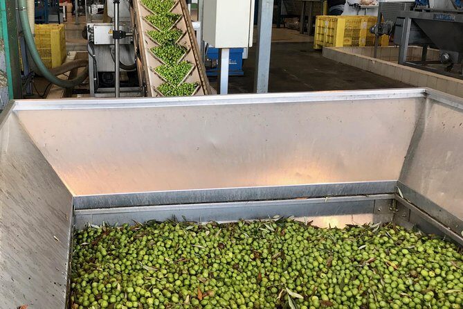 Leave the City Behind Tour with Guide Driver starts from Palermo - The olive oil producer stop: Nocellara del Belice in real context
