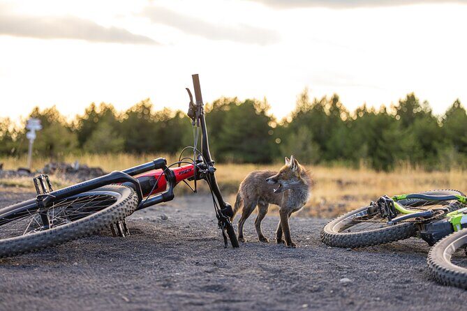 Mount Etna: All around E-bike - Trecastagni start: getting oriented before the ride