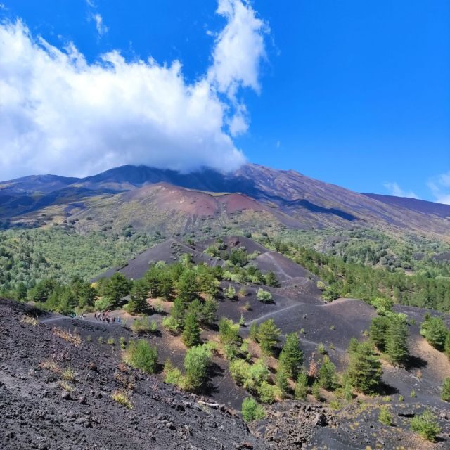 Mount Etna and Alcantara Gorges Day Trip - Mount Etna and Alcantara: Why This One-Day Combo Works