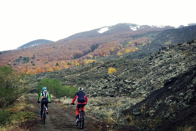 Mount Etna E-bike half-day tour - Why the guide matters more than you think