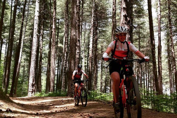 Mount Etna E-bike half-day tour - Rifugio Citelli: a rest stop that turns into a crater viewpoint