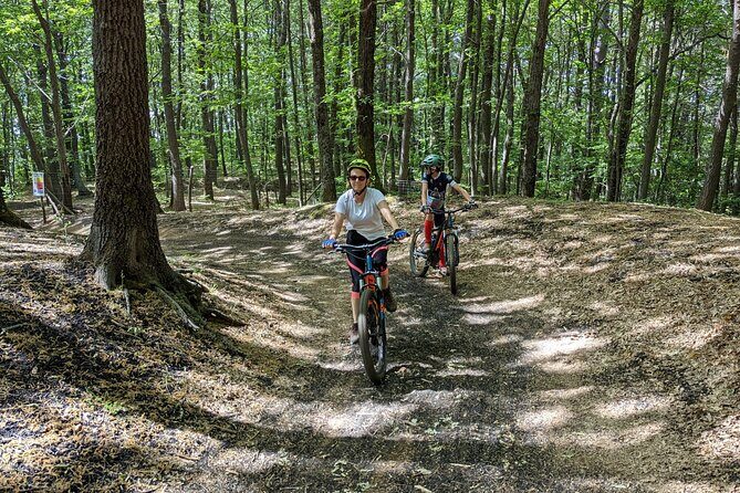 Mount Etna E-bike half-day tour - Price and value: what $114.45 gets you on Etna