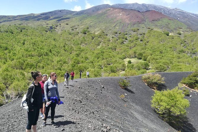 Mount Etna Half-Day Small Group Tour from Taormina - Key highlights you’ll actually feel on this tour