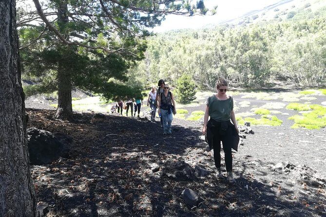 Mount Etna Half-Day Small Group Tour from Taormina - The chalet stop: snacks, wine, and the mountain break you’ll want