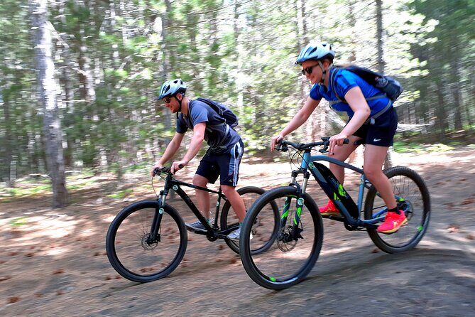 Mountain Biking Etna by MTB or E-Bike - The Descent: Sandy Dirt, Woods, and Old Lava Flows
