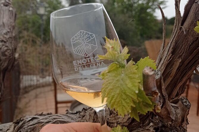 Mt. Etna trekking and Wine tasting - From Syracuse - Stop 2: Mount Etna at the Summit Area Level, With Real Perspective