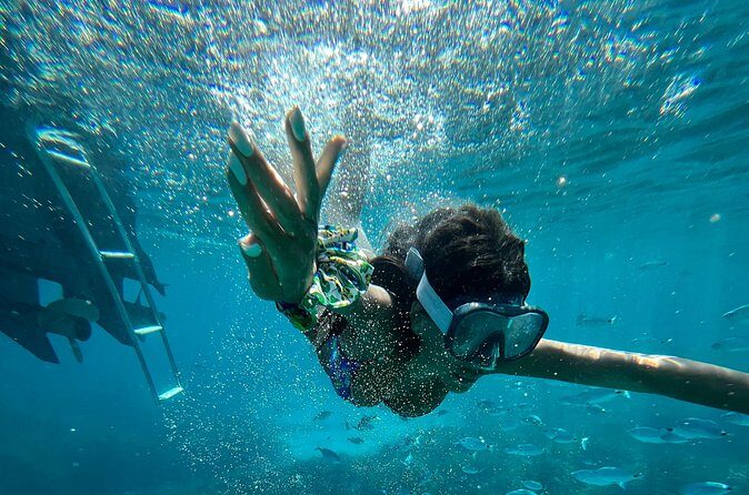 One Day Guided Boat Tour in Trapani with Snorkeling - The Swim Schedule: Cala Azzurra to Cala Rossa
