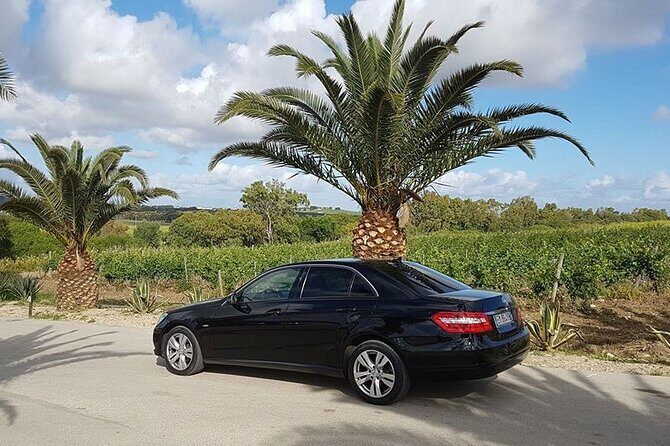 Pacchetto transfer da aeroporto Palermo a Favignana (transfer+ticket aliscafo) - Favignana Port Drop-Off: Start Your Island Day