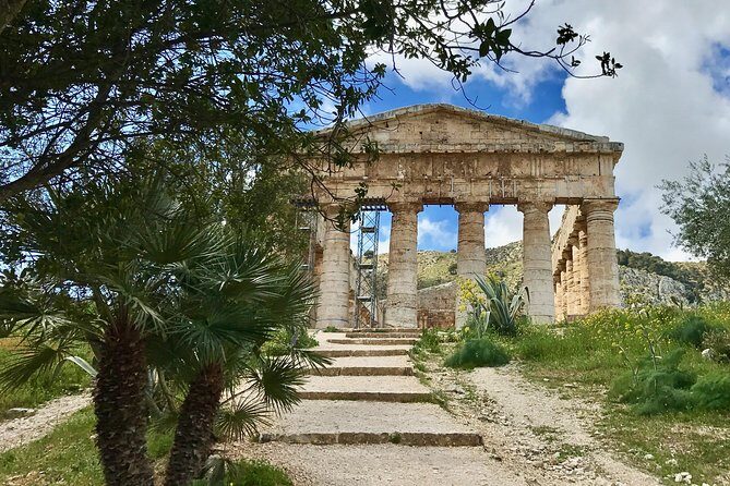 Palermo Private MINITOUR of WEST SICILY 4 Days with Guide Driver - Castelvetrano Extra-Virgin Olive Oil: Nocellara del Belice and DOP