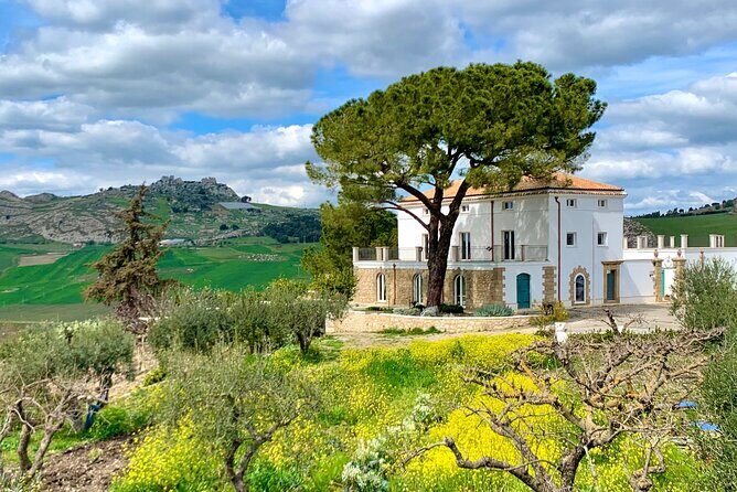 Palermo Private MINITOUR of WEST SICILY 4 Days with Guide Driver - Food and Tastings: Olive Oil First, Wine and Local Treats as the Bonus