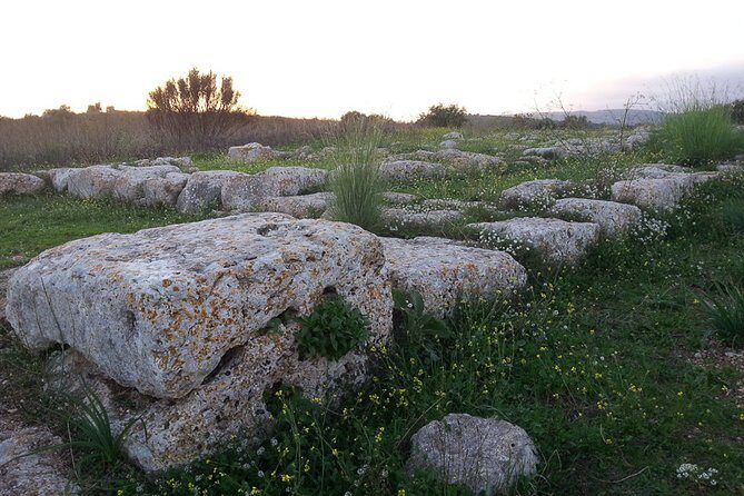 Pantalica nature history and archeology - Botanical stops: endemic Iblea plants, orchids, and medicinal uses you won’t forget