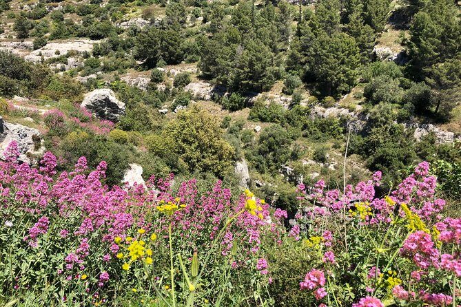 Pantalica Nature Reserve Walking Tour - Inside the reserve: what you’ll actually focus on