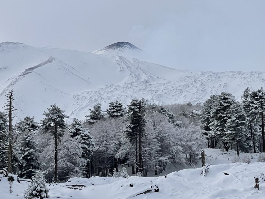 Piano Provenzana: Guided Mt. Etna Snowshoeing Trek - Who should book this Etna snowshoe trek (and who shouldn’t)