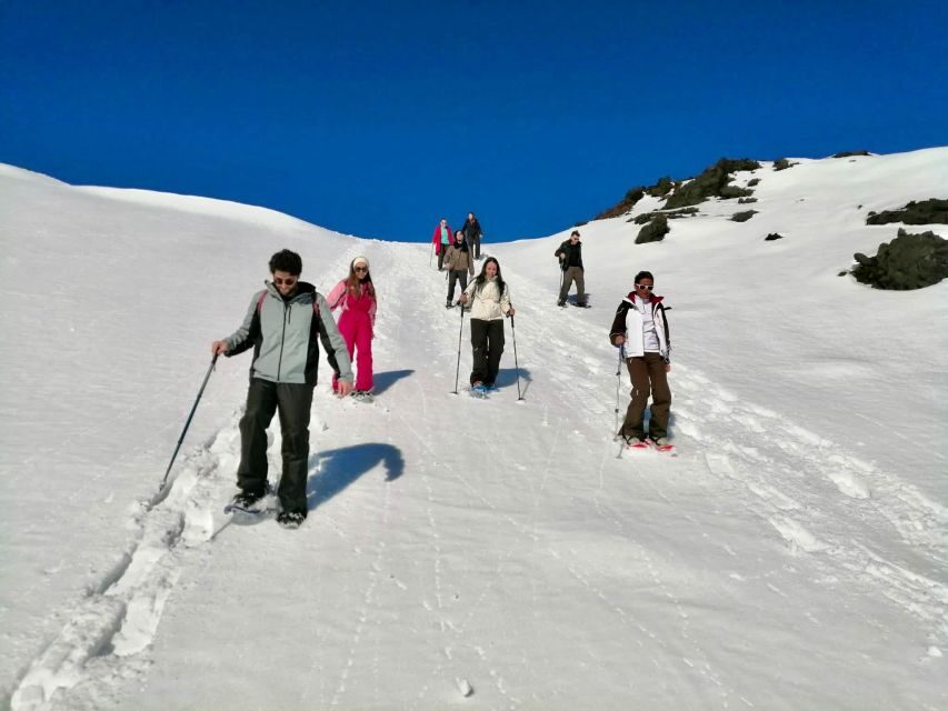 Piano Provenzana: Guided Mt. Etna Snowshoeing Trek - The hike plan in real time: stops, photos, and guided walking