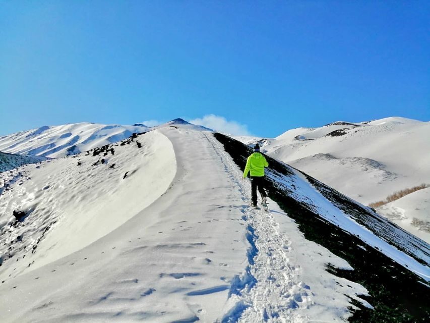 Piano Provenzana: Guided Mt. Etna Snowshoeing Trek - Meeting at Etna Nord: where the hike starts and why timing matters