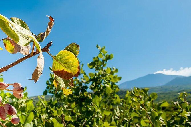 Private Etna tour and pistachio lunch in a pistachio farm - Safety gear and “what to do” moments you’ll appreciate