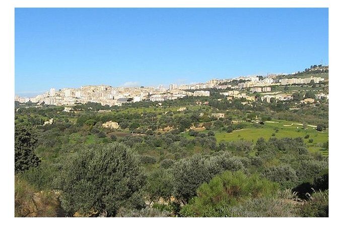 Private Full-Day Tour of Agrigento and Piazza Armerina - Getting to Agrigento without turning it into a slog