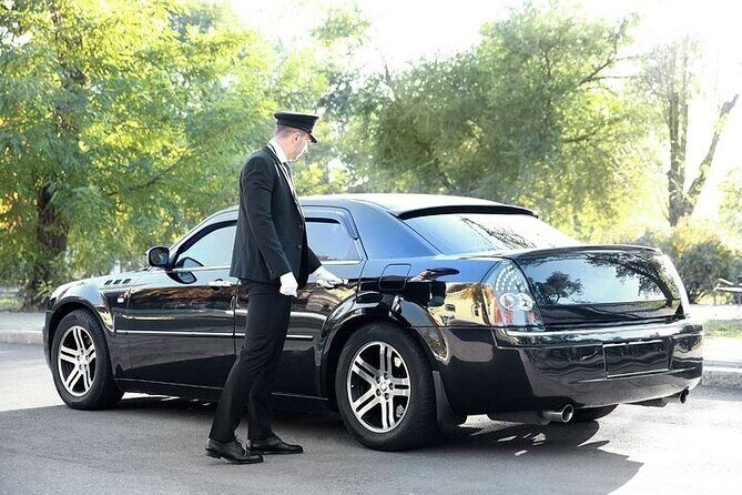Private One-way Transfer From Catania Airport To Catania - The Small Extras That Can Matter: Seats, Pets, Service Animals