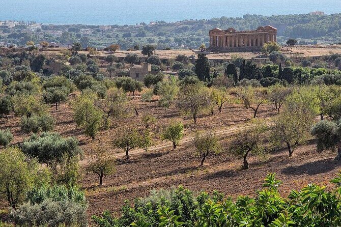 Private Tour Agrigento Valley of the Temples Park and Scala Dei Turchi - Comfort perks that actually matter on a long drive