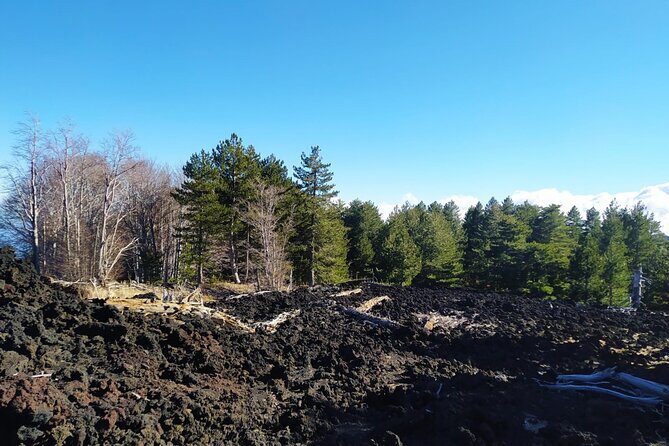 Private tour of Etna with food and wine tasting in the cellar - What You’re Really Paying For (and Why It Can Be Good Value)