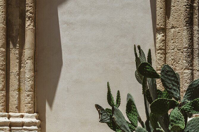 Ragusa Ibla Walking and Photography Tour - Giardini Iblei: the portrait moment that upgrades your whole trip