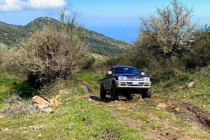 Safari Jeep Wild Adventure - Price and Value: Is $143.30 Fair for This Kind of Day?