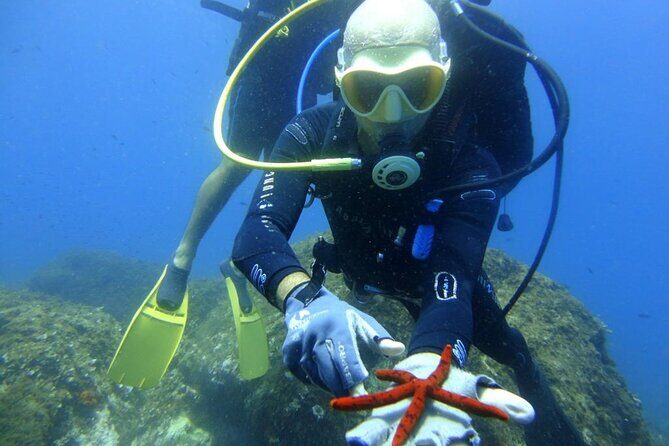 Scuba Diving Experience - Underwater timing: what the 3 hours in the water feels like