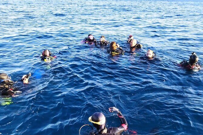 Scuba Diving Experience - Price and value: $84.21 that actually adds up