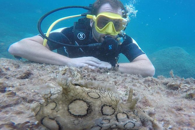 Scuba Diving Experience in Taormina - When Anxiety Shows Up, and How the Team Handles It