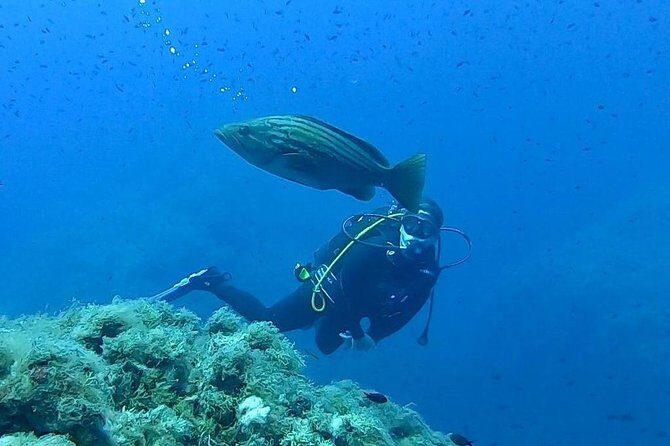 Scuba Experience - Key highlights worth clocking before you go