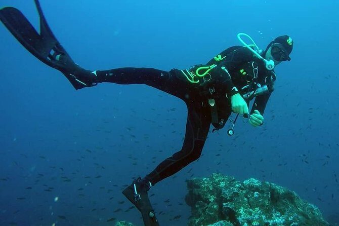 Scuba Experience - Staff professionalism is the real story (and it shows)