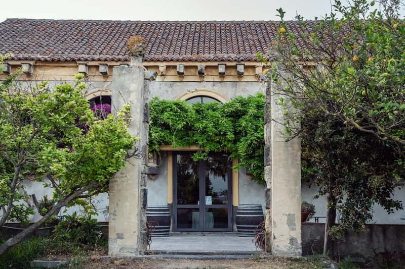 Sicilian Soul: Winery Tour, Wine & Food Tasting in Catania - The food spread: local cheeses, salami, preserves, olives, and pane cunzato