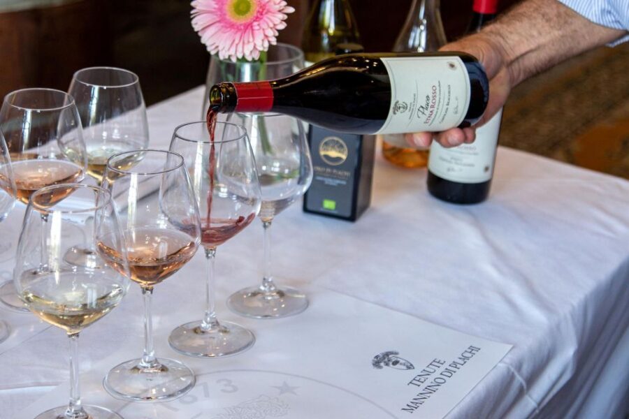 Sicilian Soul: Winery Tour, Wine & Food Tasting in Catania - Price and value: is $55.80 fair for what you get?