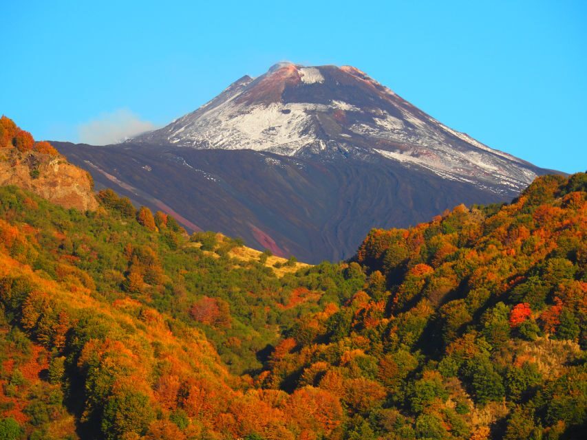 Sicily: Mount Etna's North Slope Craters Guided Hike Tour - Warm-Up Hike: Lava-Edge Path and a Beech-Treed Ascent