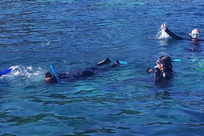 Snorkeling - Your 50 Minutes in the Water: Simple, Supervised, and Refreshing