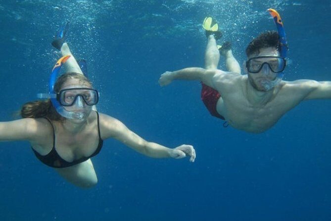 Snorkeling Tour from Catania - What you’ll learn from a marine biologist (and why it changes your snorkeling)
