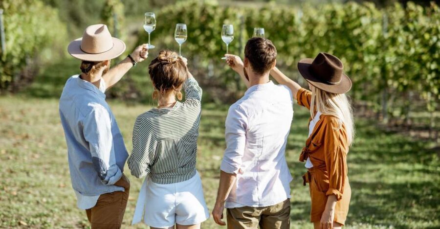 Taormina: Guided Etna Wine Tasting Half-Day Tour - Key Highlights You’ll Care About