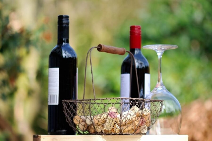 Taormina: Guided Etna Wine Tasting Half-Day Tour - Should You Book This Etna Wine Tasting Tour?
