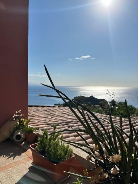 Taormina Half-Day Sicilian Cooking Class & Market Tour - Main Dish Choices: Fish, Meat, or Vegetarian