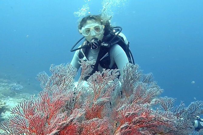 Taormina Scuba Diving Experience - Beach vs. Boat: How the Session Is Set Up
