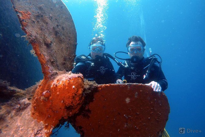 Taormina Scuba Diving Experience - Who Should Book This (and Who Might Rethink It)