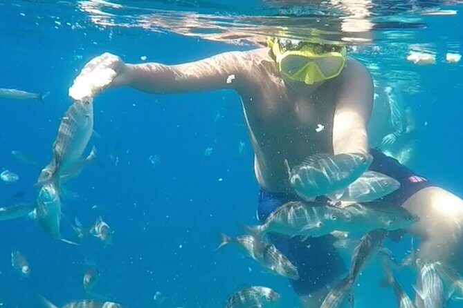Taormina snorkeling experience - Stop 2 Near Taormina: Another Shot at Sea Life
