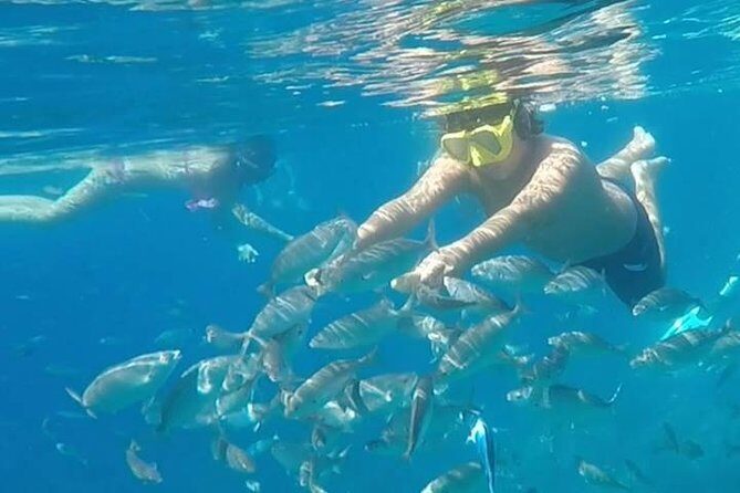 Taormina snorkeling experience - Price and Value: About $62.48 for 3.5 Hours at Sea